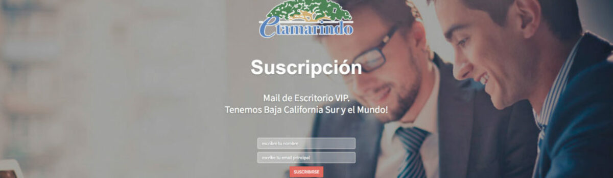 etamarindo – Diseño de Landing Page