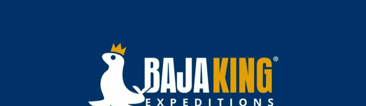 Diseño UI – BajaKing Expeditions, La Paz, B. C. S